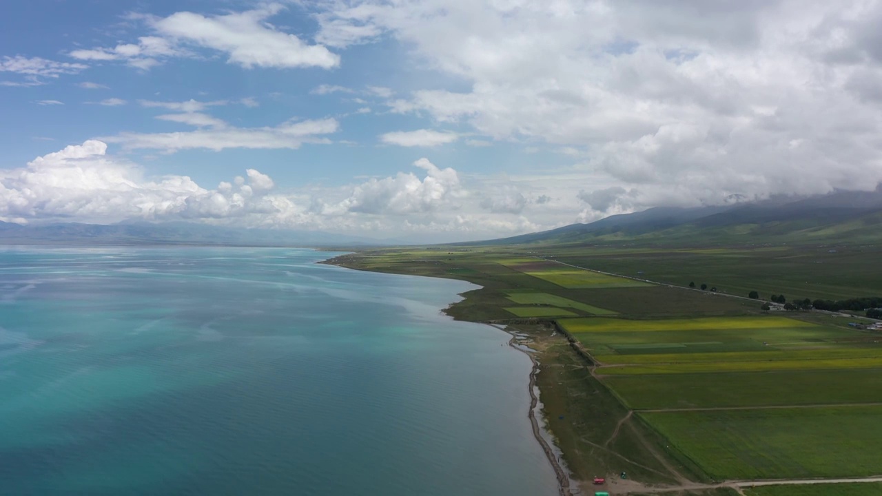 青海湖和油菜地视频下载