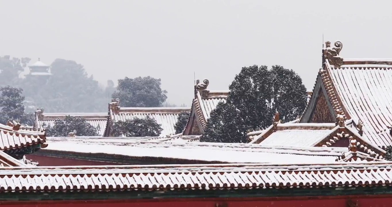 北京故宫的雪景，紫禁城，雪景，冬天，宫墙，屋檐，宫殿，建筑结构，素雅，中国风，建筑群，立冬，冬至视频素材