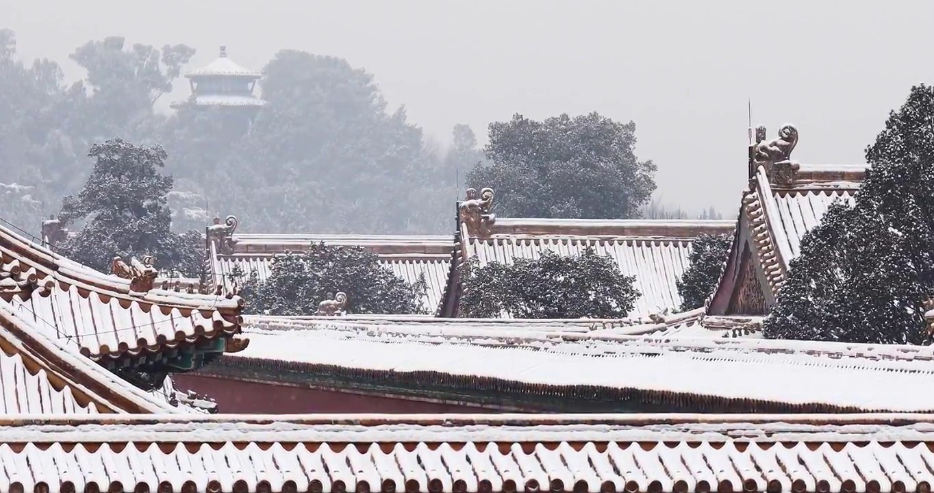 北京故宫的雪景，紫禁城，雪景，冬天，宫墙，屋檐，宫殿，建筑结构，素雅，中国风，建筑群，立冬，冬至视频素材