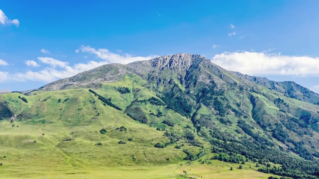 中国新疆喀纳斯景区山和绿色的草原自然风光航拍视频素材画面4