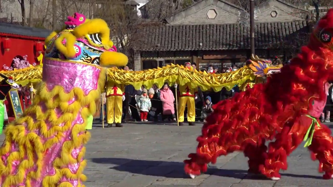 庙会新年喜庆活动舞狮视频素材