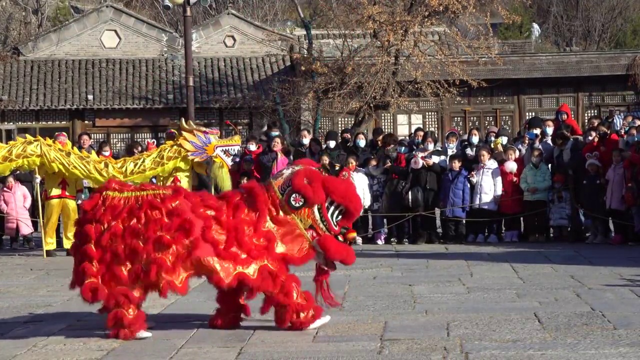 庙会新年喜庆活动舞狮视频素材