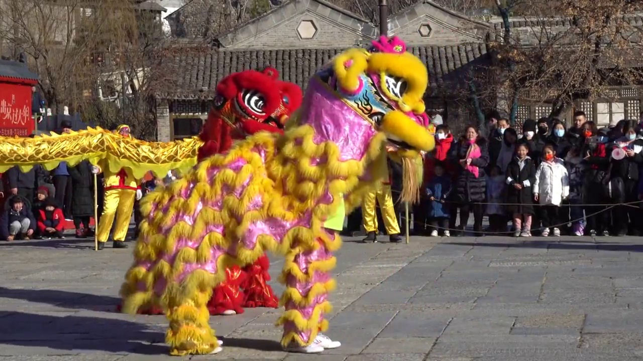 庙会新年喜庆活动舞狮视频素材