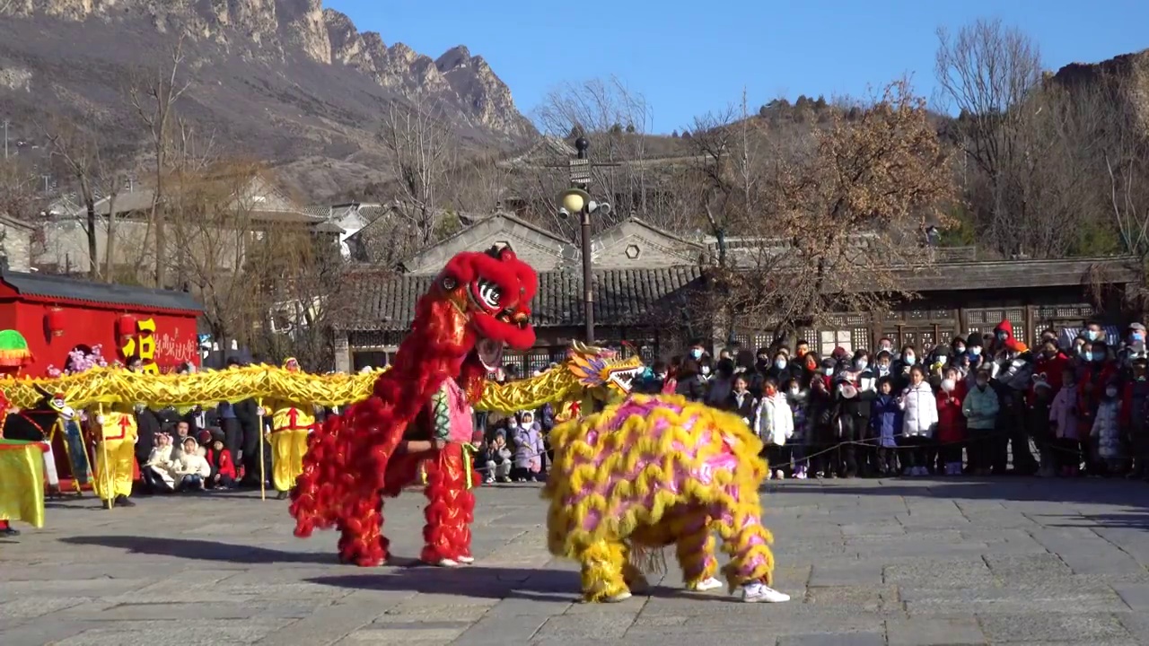 庙会新年喜庆活动舞狮视频素材