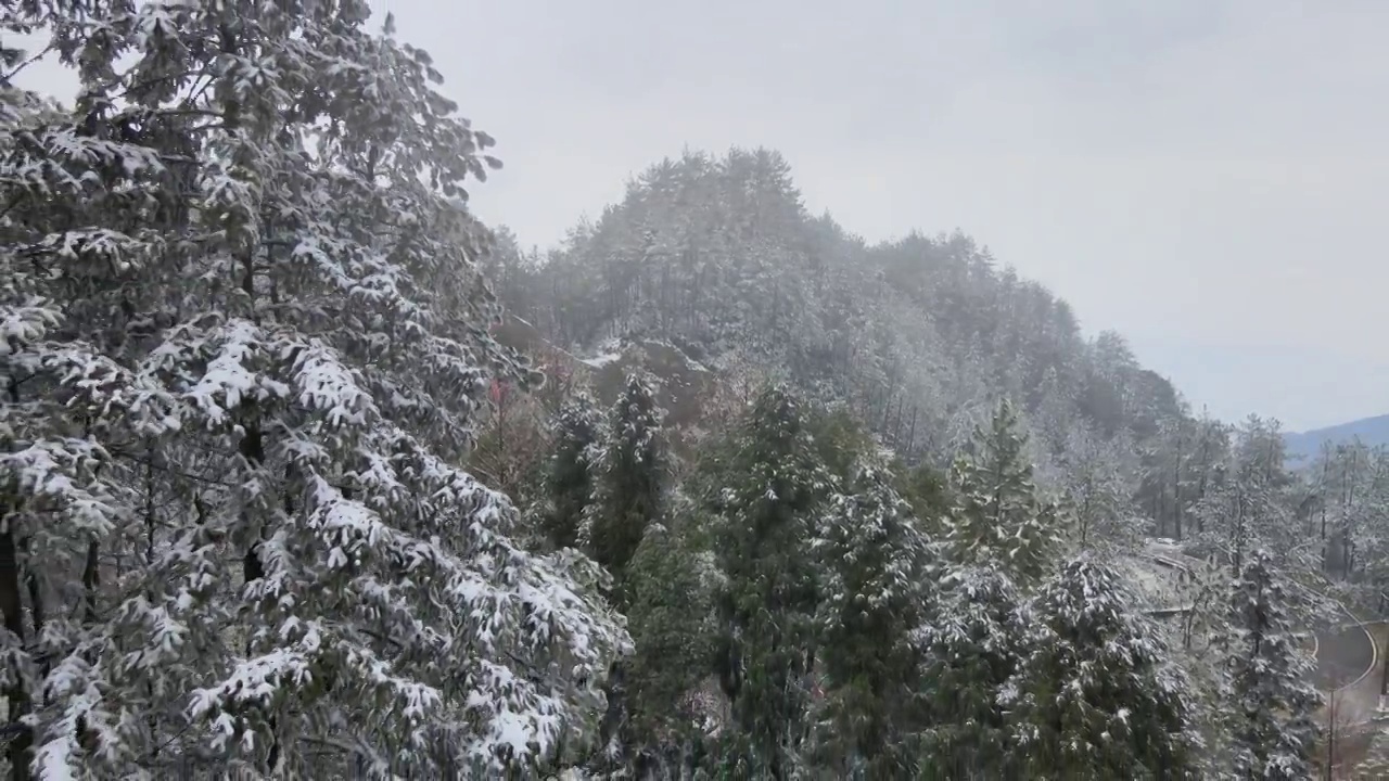 4K航拍雪山，雪景，大山，森林公园，云景，平流雾视频素材