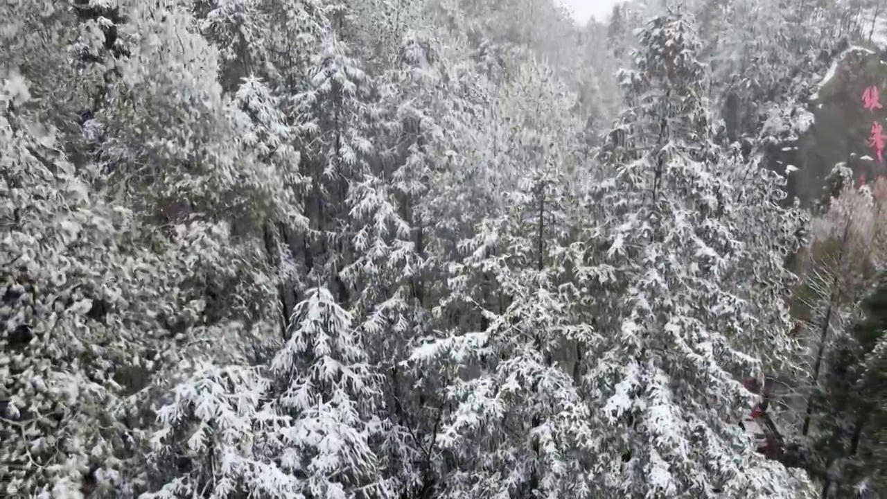 4K航拍雪山，雪景，大山，森林公园，云景，平流雾视频下载