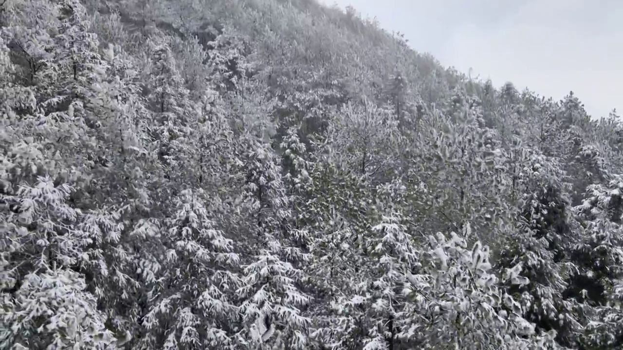 4K航拍雪山，雪景，大山，森林公园，云景，平流雾视频素材