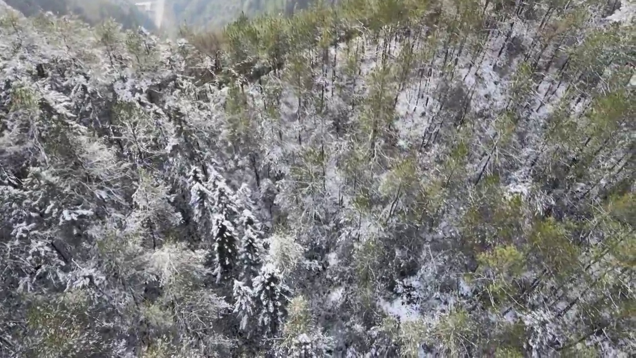 4K航拍雪山，雪景，大山，森林公园，云景，平流雾视频下载