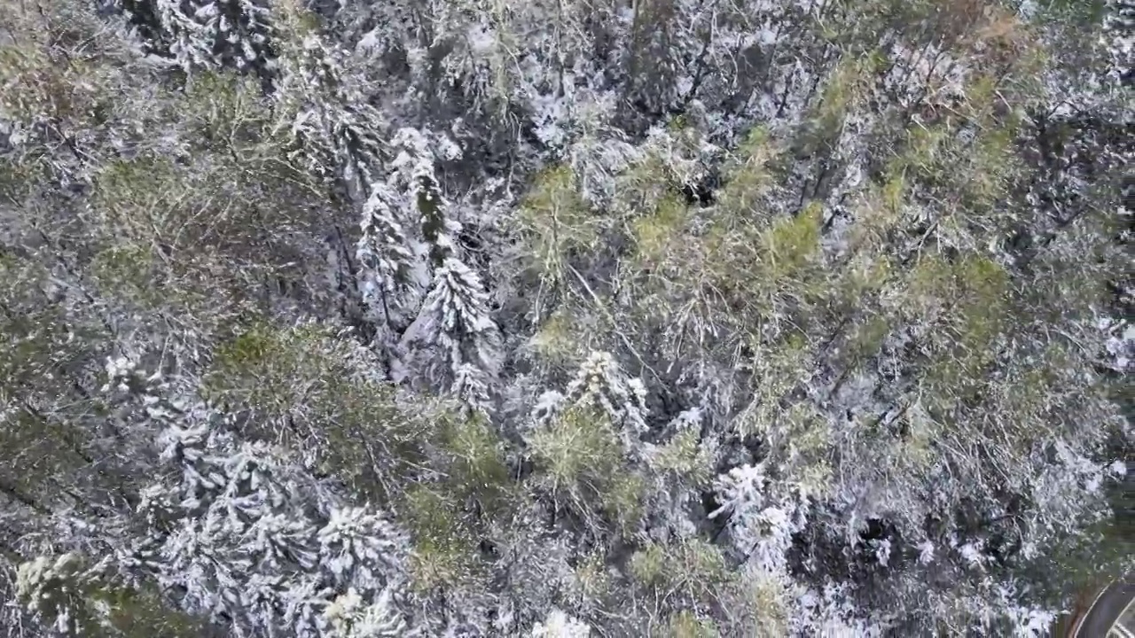 4K航拍雪山，雪景，大山，森林公园，云景，平流雾视频素材