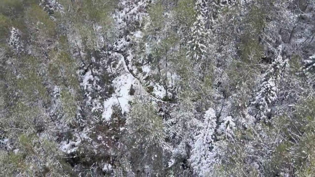 4K航拍雪山，雪景，大山，森林公园，云景，平流雾视频素材