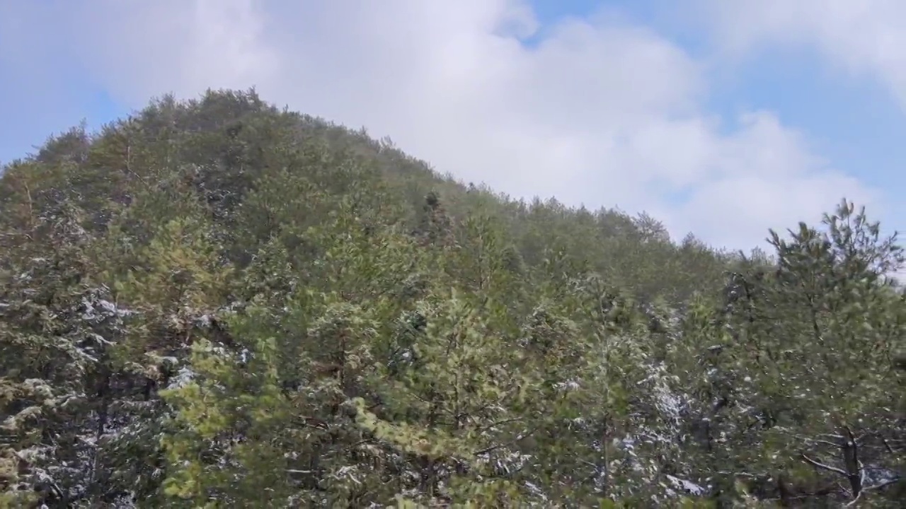 4K航拍雪山，雪景，大山，森林公园，云景，平流雾视频下载