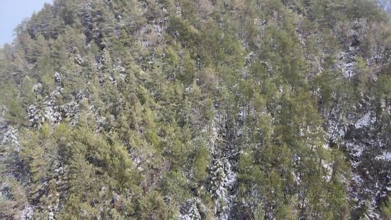 4K航拍雪山，雪景，大山，森林公园，云景，平流雾视频下载