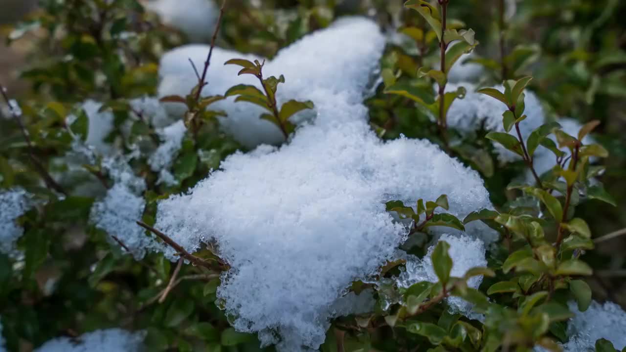 融化的雪视频素材