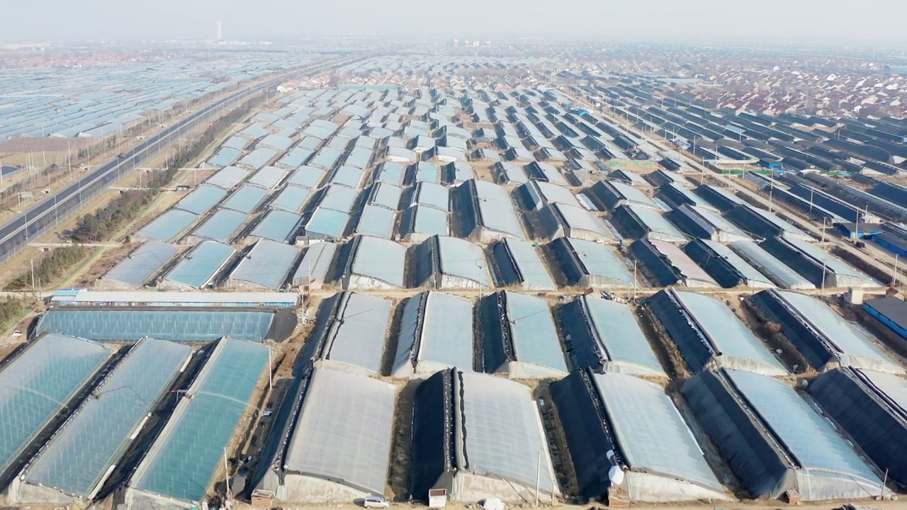 山东寿光蔬菜大棚蔬菜小镇视频素材画面1