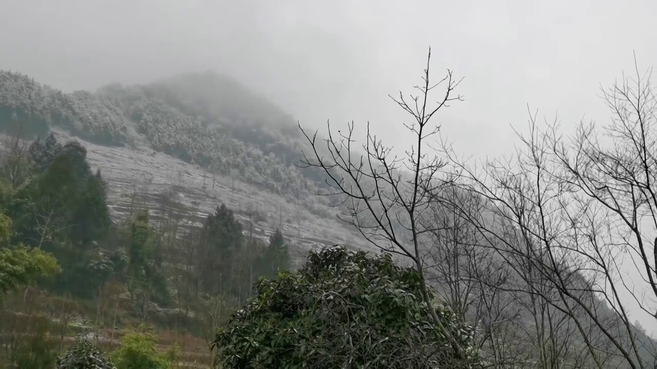 山村里下雪的场景视频素材