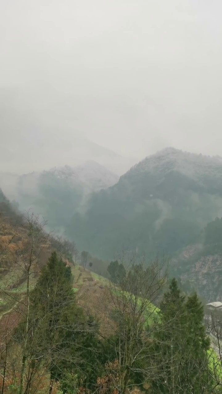 四川省广元市朝天区大滩镇山村下雪的场景视频素材