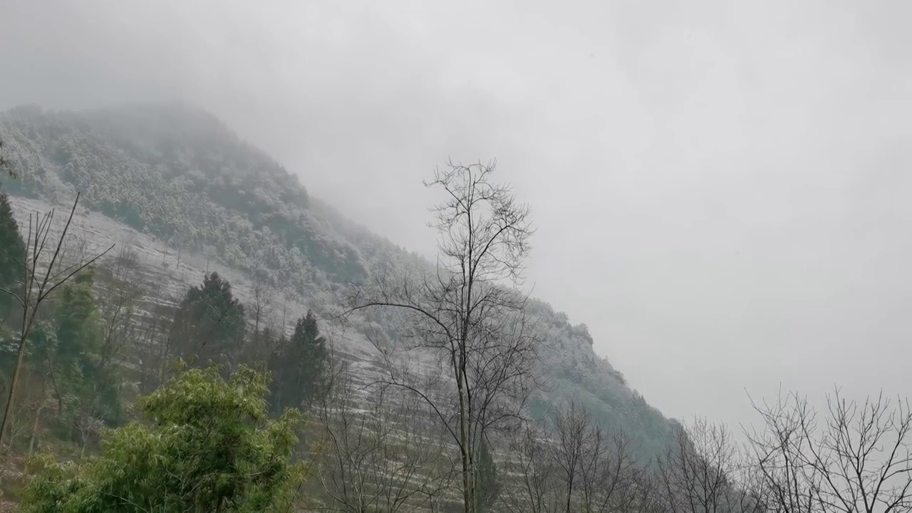 四川省广元市朝天区大滩镇山区下雪的场景视频素材