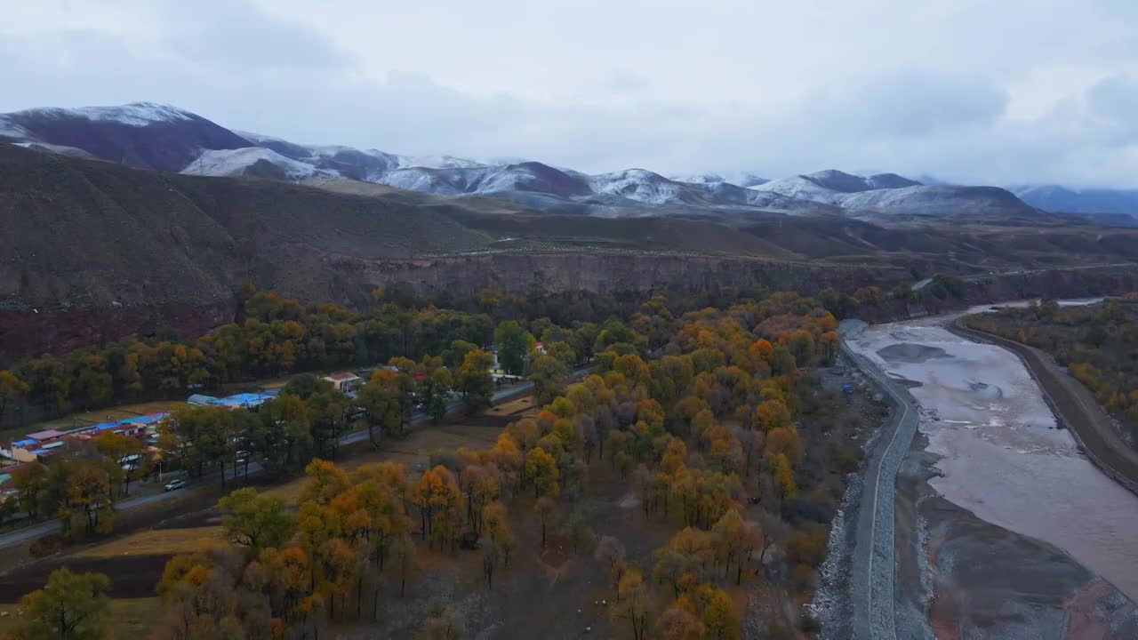 祁连秋色雪景视频素材