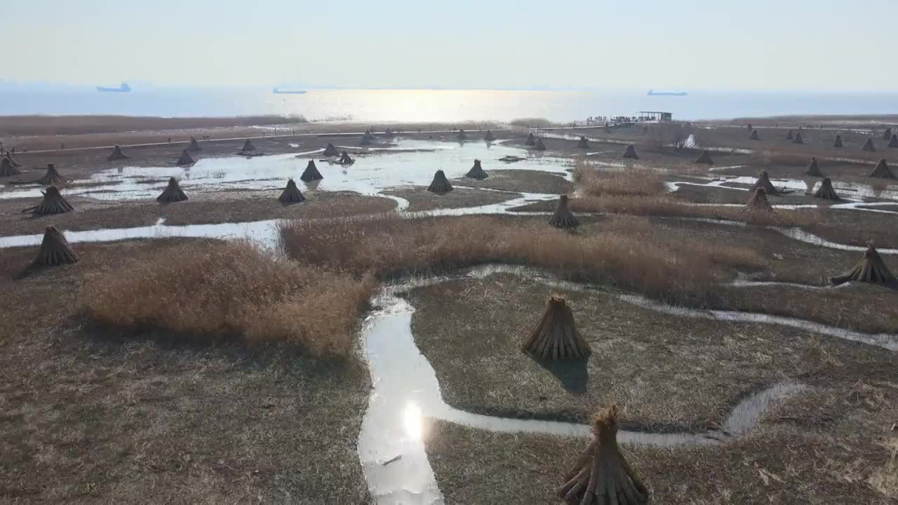 航拍上海崇明西沙湿地视频素材