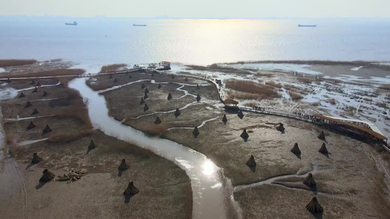 西沙湿地长江口视频素材