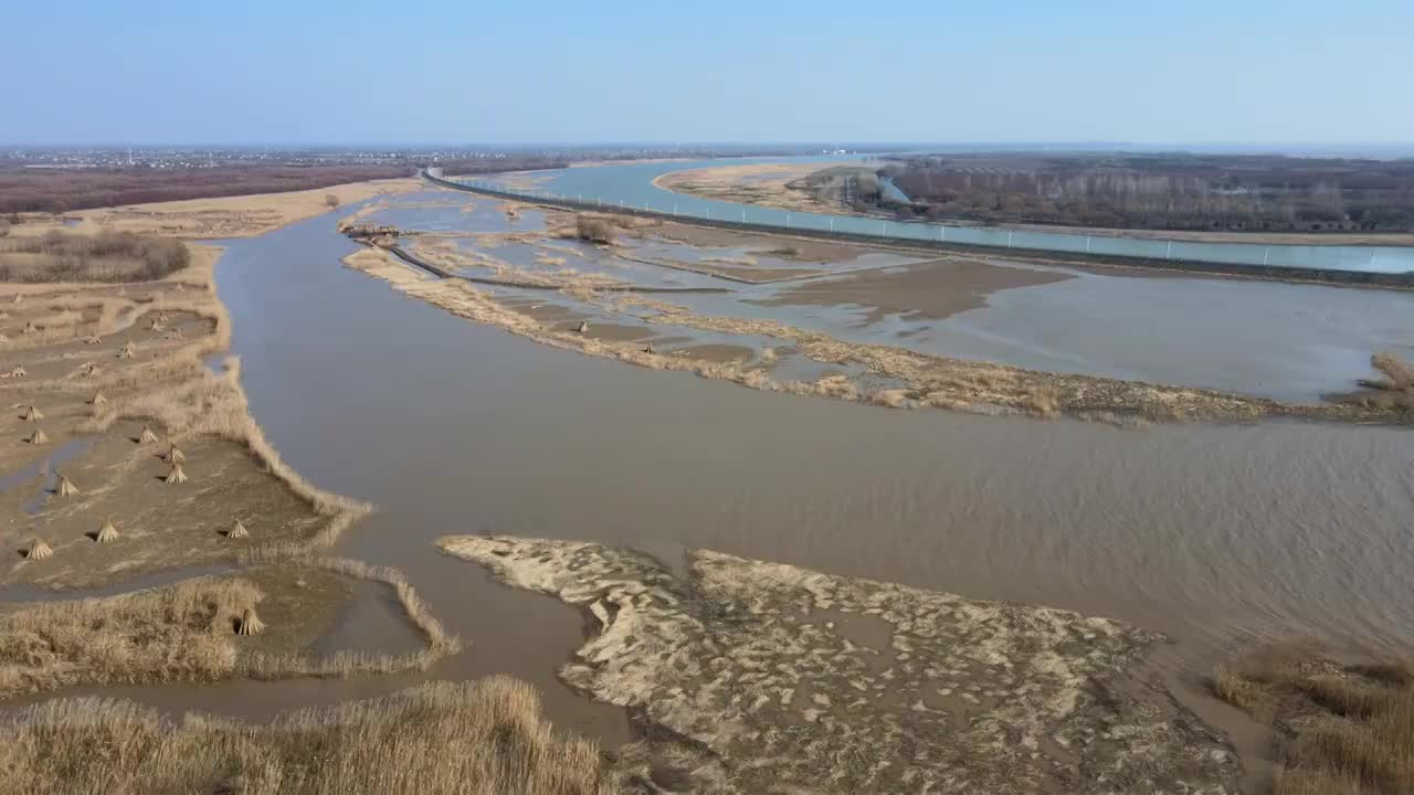 崇明西沙湿地公园海边视频素材