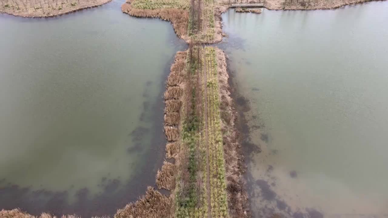 乡村自然景观视频素材