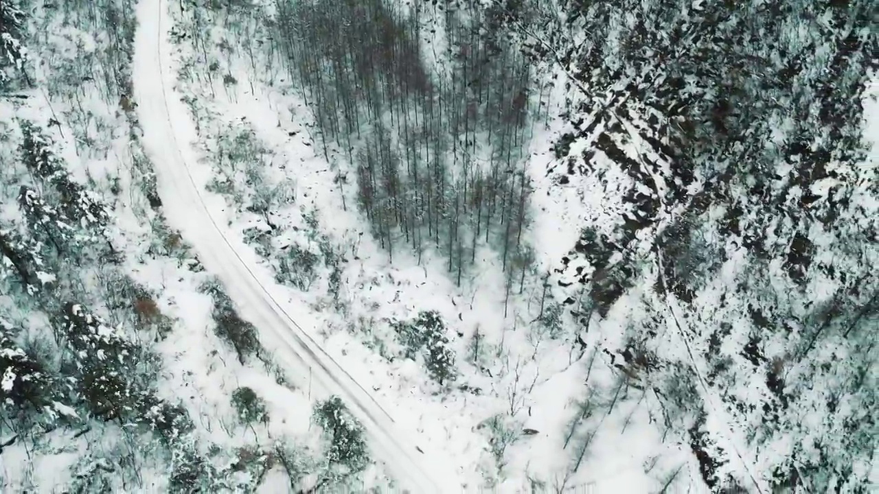 森林雪地山路视频素材画面1