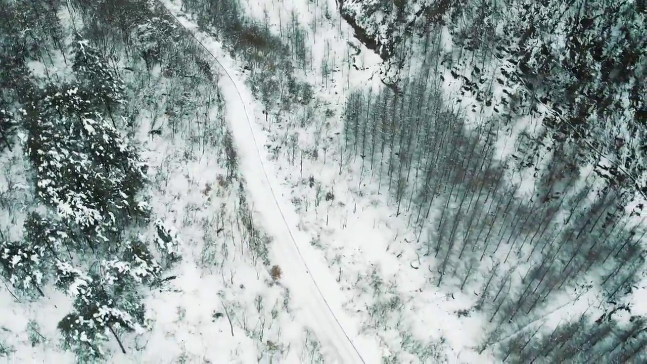 森林雪地山路视频素材画面2