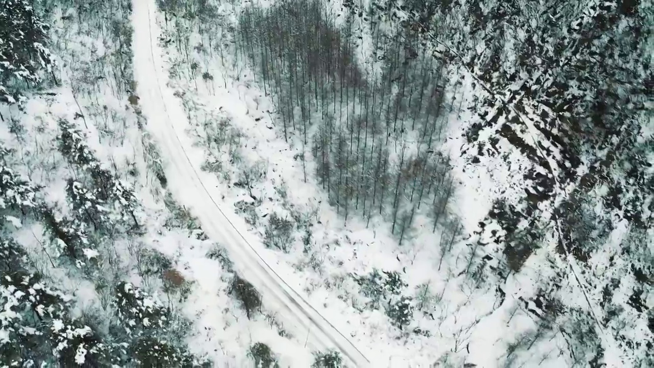 森林雪地山路视频素材画面3