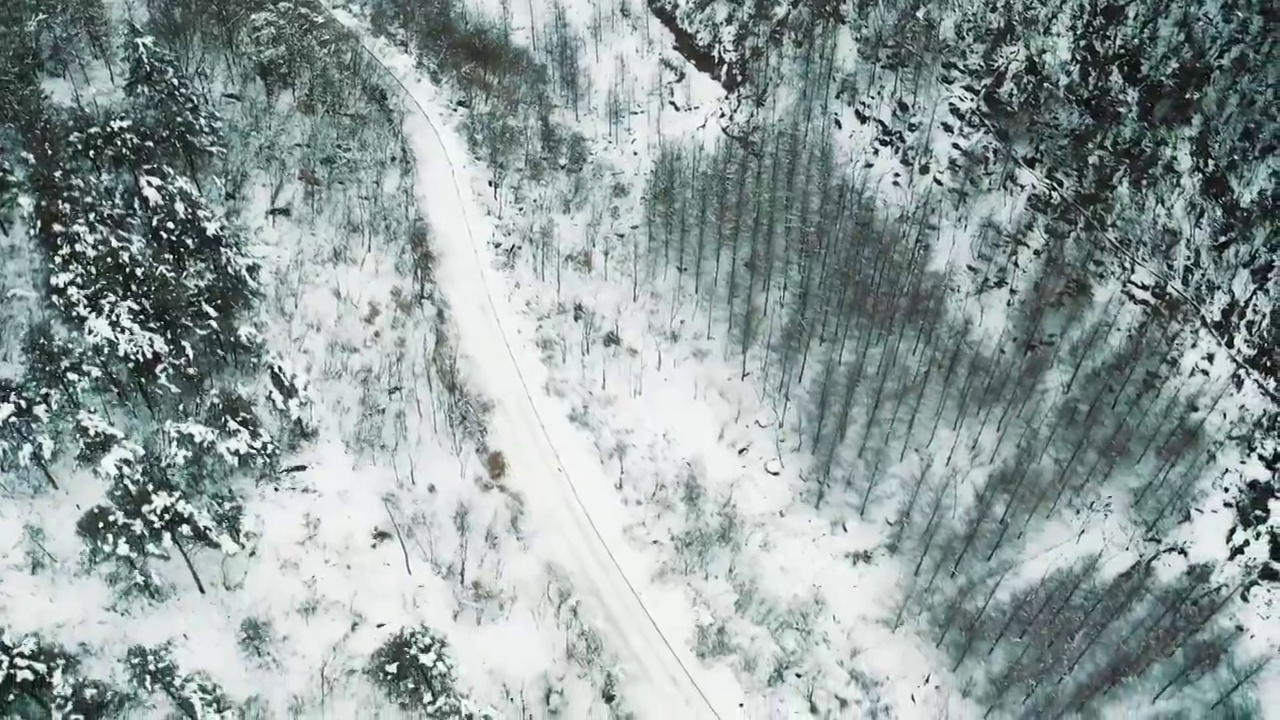 森林雪地山路视频素材画面4