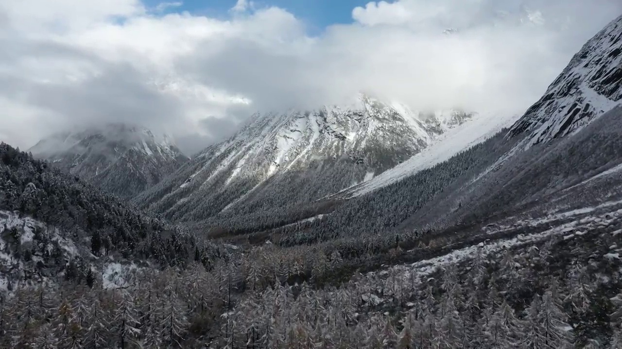 四川，毕棚沟雪景航拍俯拍视频素材