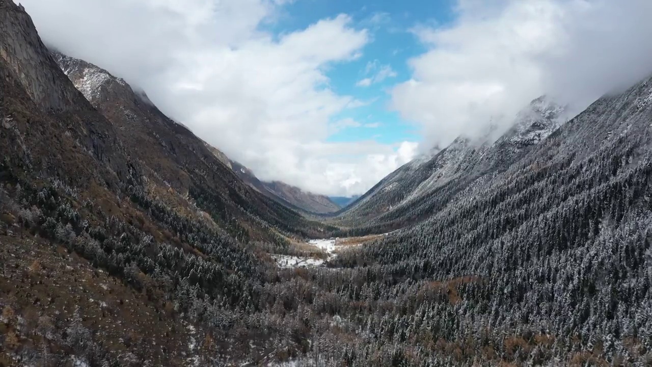 四川，毕棚沟雪景航拍俯拍视频素材