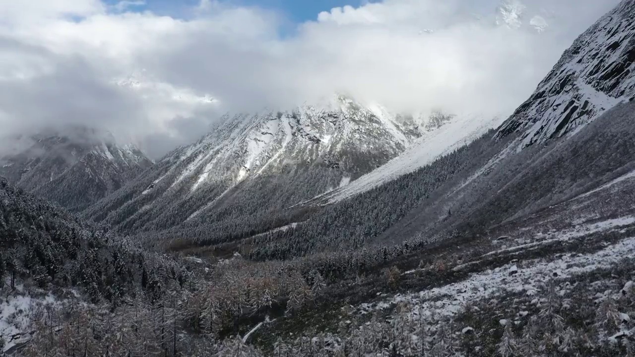 四川，毕棚沟雪景航拍俯拍视频素材