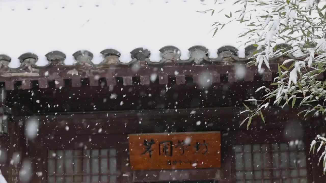 雪中的竹子视频素材