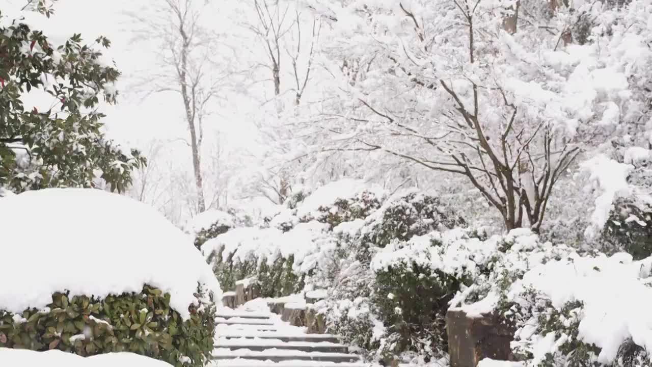 下雪 雪景视频素材