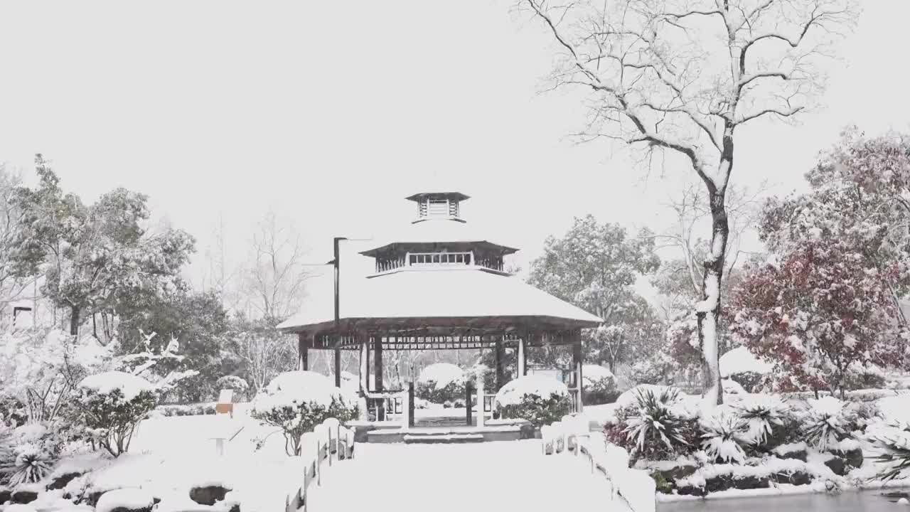 下雪 雪景视频素材