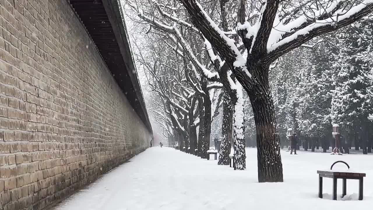 冬天雪景中的枯树与城墙，雪景，雪，路，伤感，前进，远方，诗情画意，意境，雪花，大雪，小雪，城墙，墙视频素材