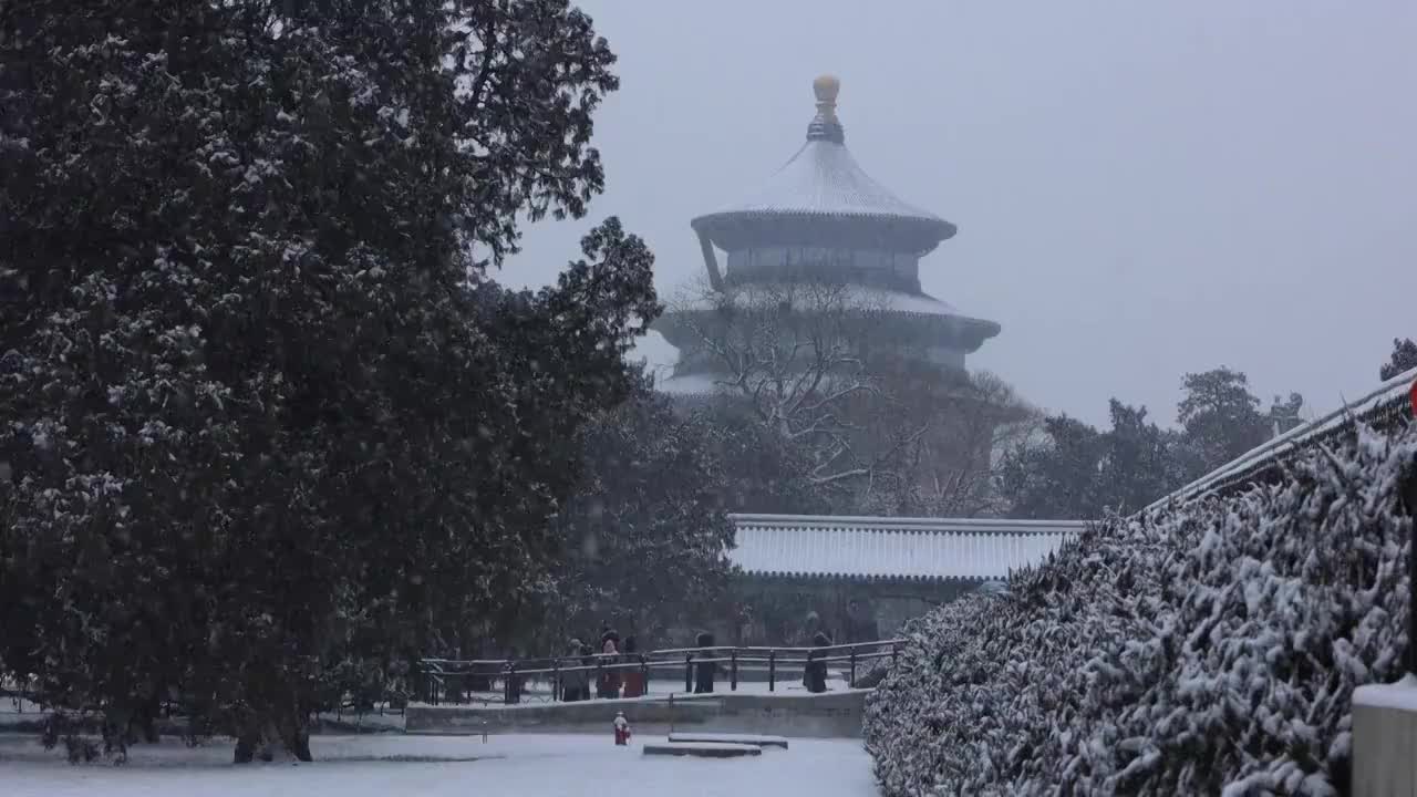 雪天的天坛公园视频素材