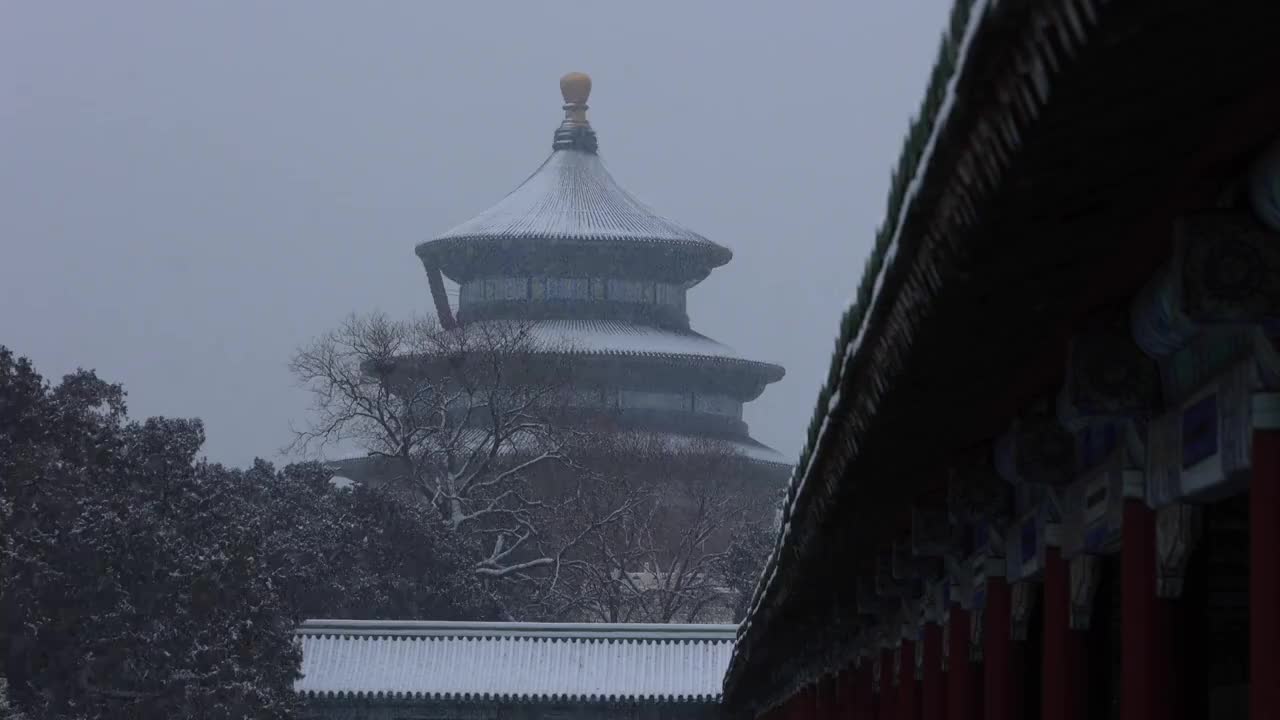 雪天的天坛公园视频素材