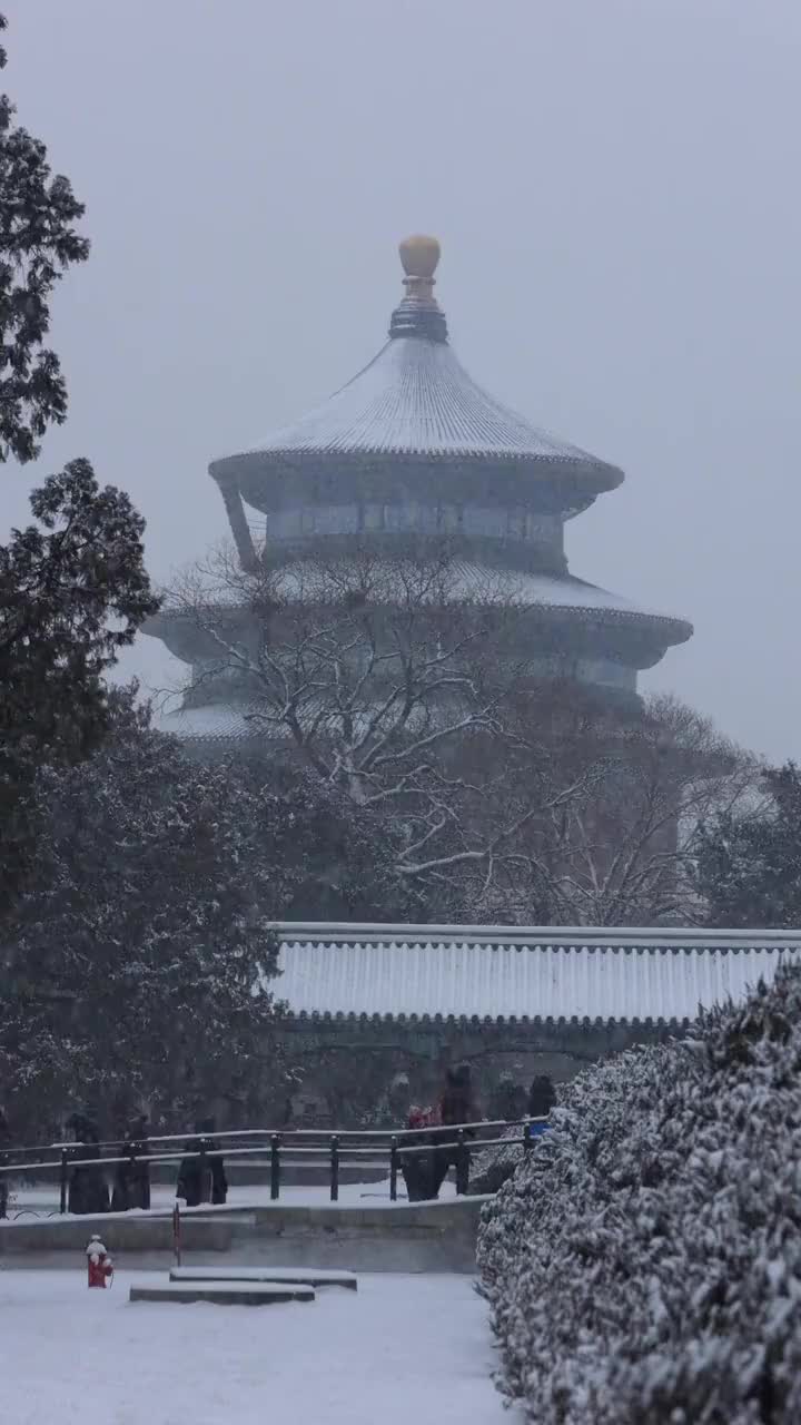 冬天雪中的北京天坛公园视频素材