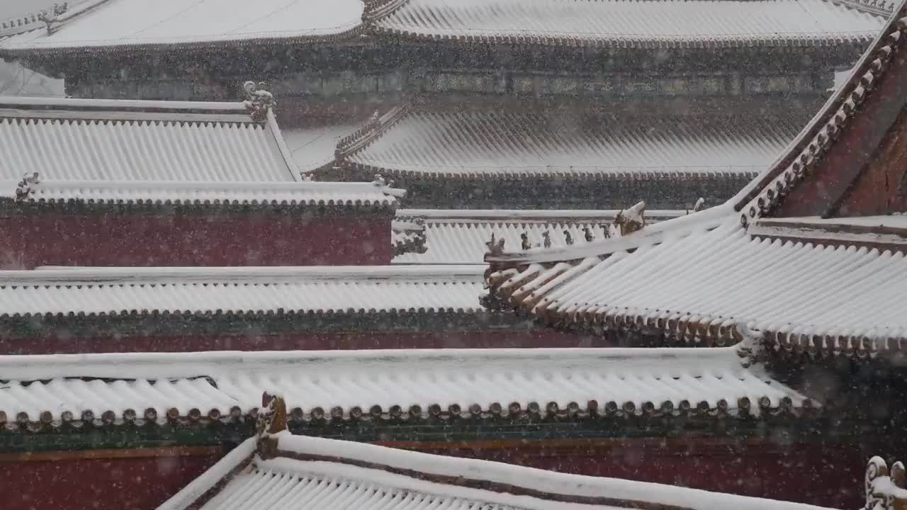 大雪中的北京故宫屋顶视频素材