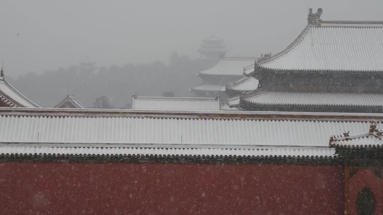 大雪中的北京故宫视频素材