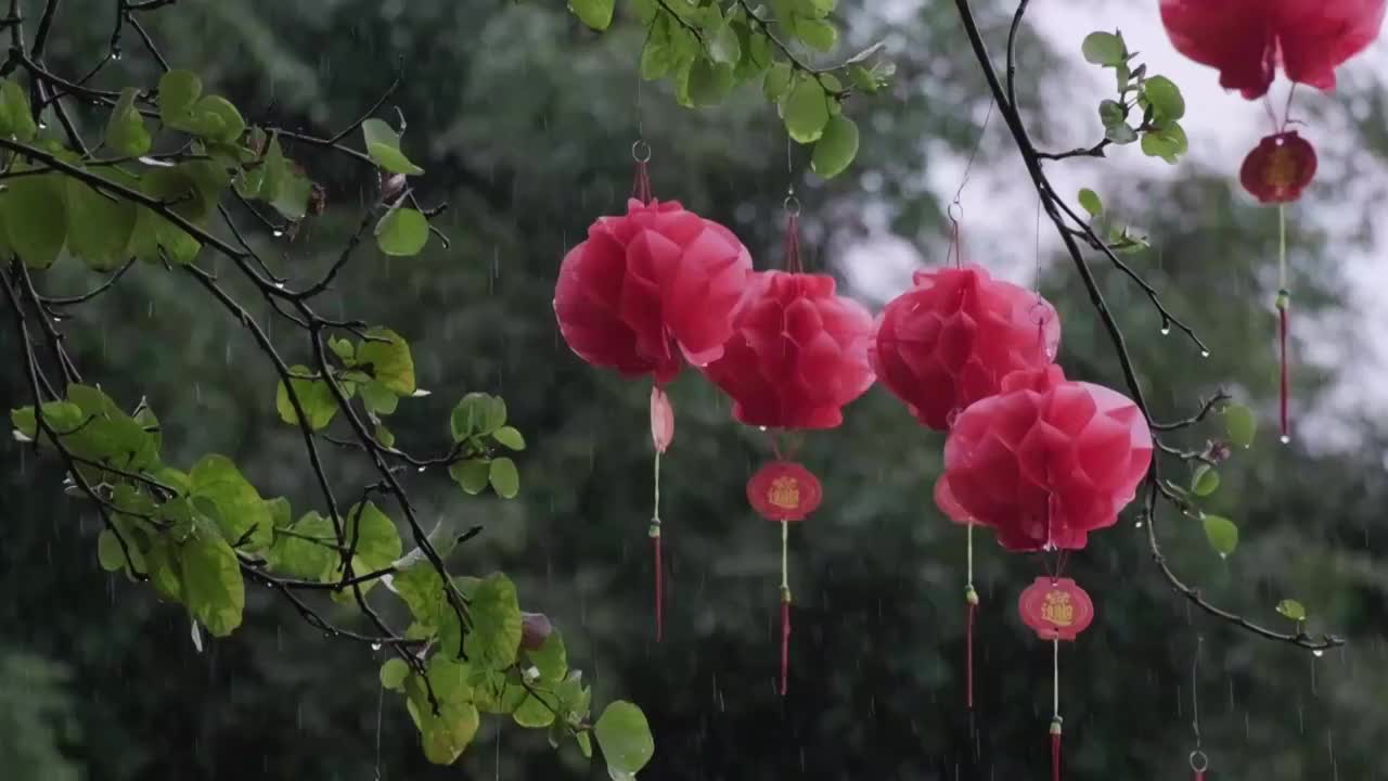 深绿色背景慢动作雨中的红色灯笼视频素材