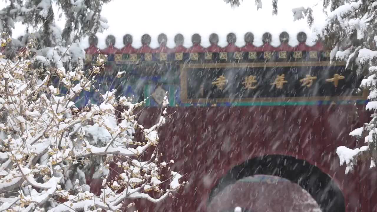 十方普觉寺下雪中视频素材