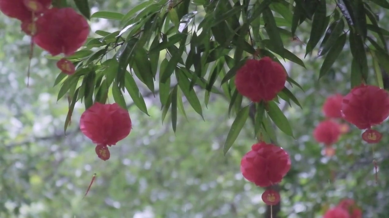 雨中随风摇摆的树枝叶子与灯笼慢动作镜头视频素材