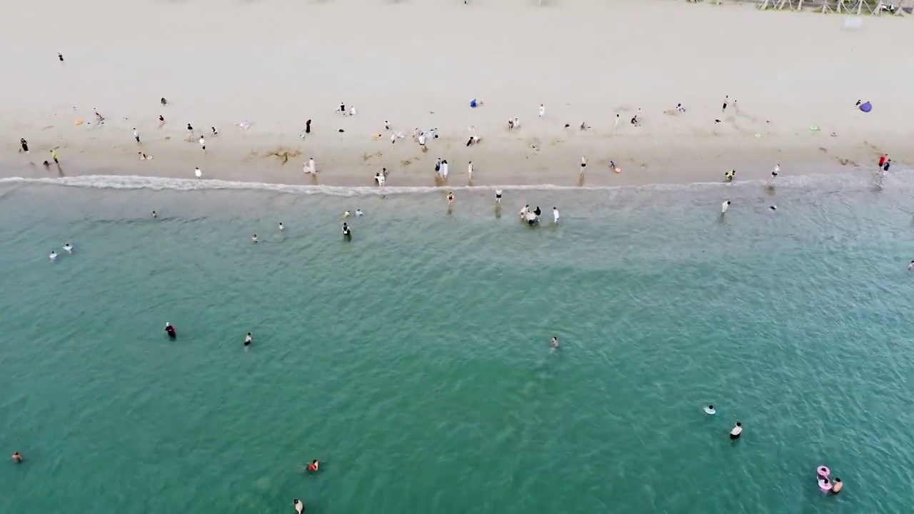 快乐的夏日生活,海洋,沙滩,游泳视频素材