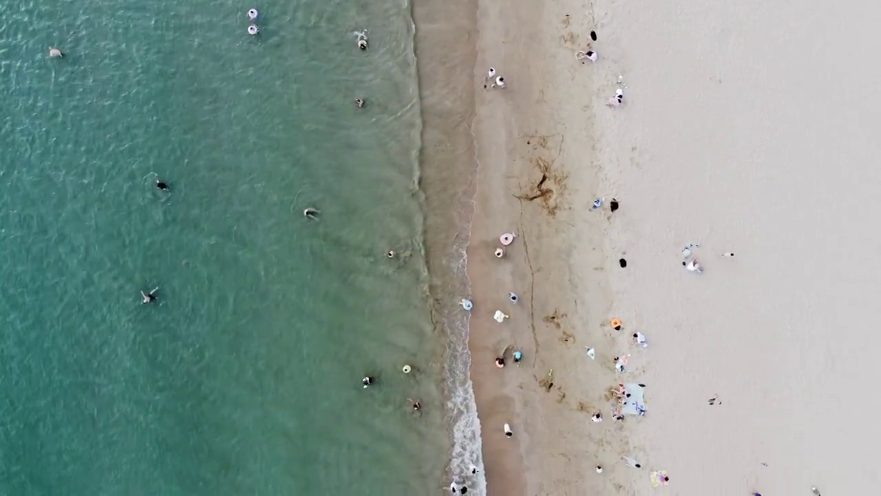 快乐的夏日生活,海洋,沙滩,游泳视频素材