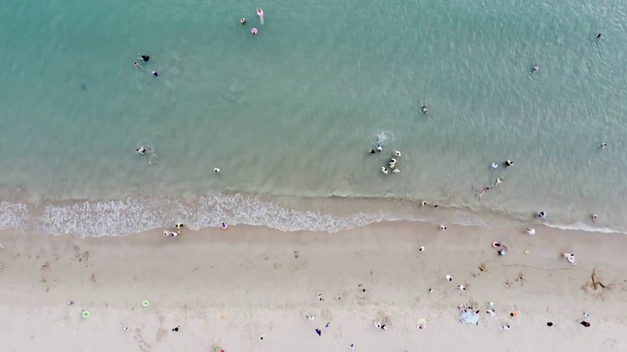 快乐的夏日生活,海洋,沙滩,游泳视频素材