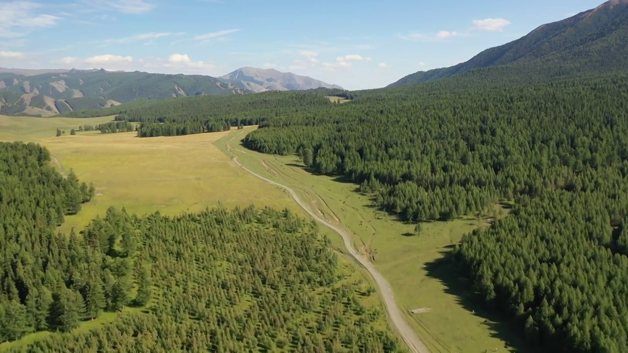 新疆哈密东天山风景区松树塘森林草原高山草甸自然景观航拍视频素材