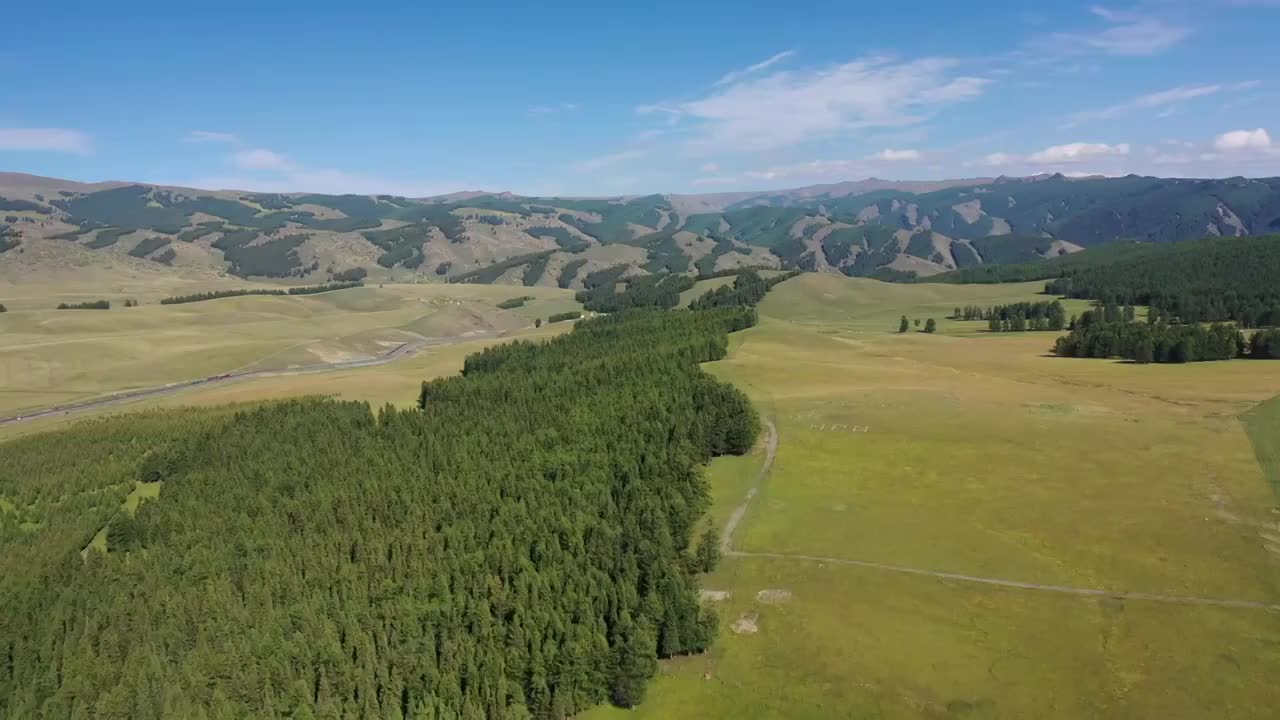 新疆哈密东天山风景区松树塘森林草原高山草甸自然景观航拍视频素材